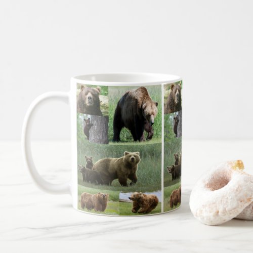 mugs bears wildlife