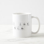 AP chem
 rules  Mugs (front & back)