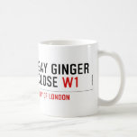 GAY GINGER CLOSE  Mugs (front & back)