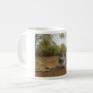Mugs Gray Squirrel Hyde Park London