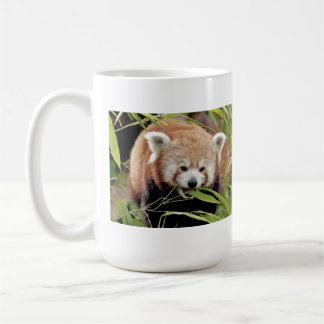 Mugs photo red panda. Panda roux. animals.