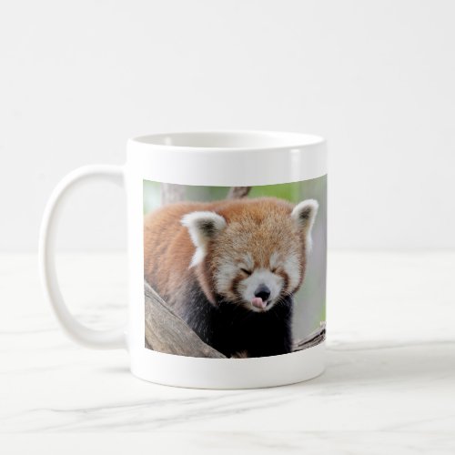 Mugs photo red panda Panda roux animals