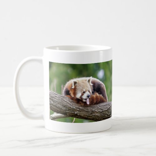 Mugs photo red panda Panda roux animals