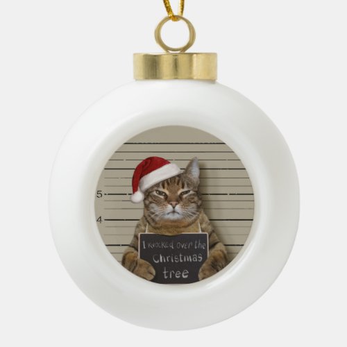 Mugshot Cat Christmas Ceramic Ball Christmas Ornament
