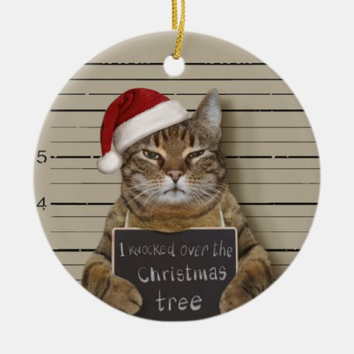 Mugshot Cat Christmas Ceramic Ornament