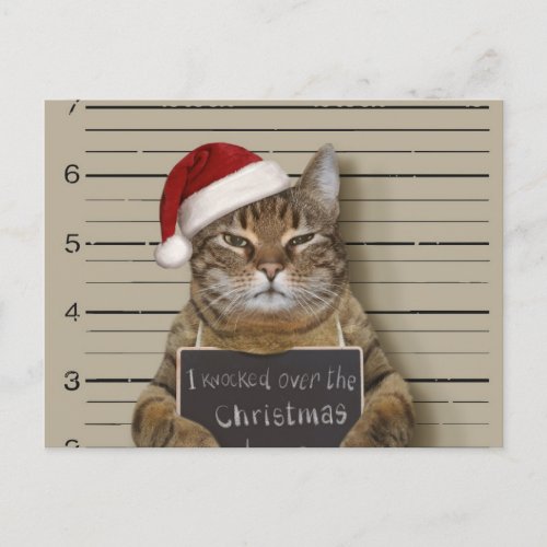 Mugshot Cat Christmas Postcard