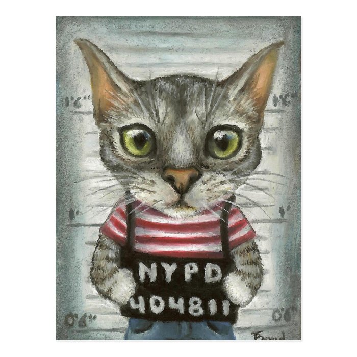 Mugshot of a cat felon postcard