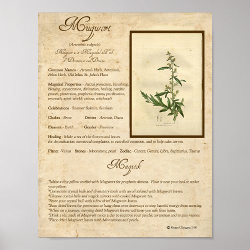 MUGWORT MAGICK HERB POSTER