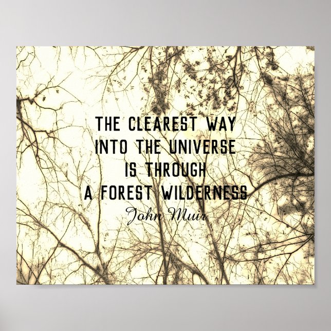 Muir nature quote sepia tree photo art poster (Front)