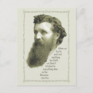 Muir Universe Postcard