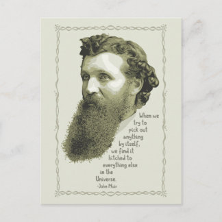 Muir Universe Postcard