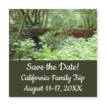 Muir Woods Bridge I