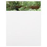 Muir Woods Bridge I