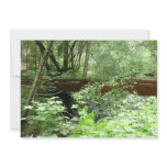 Muir Woods Bridge I Card