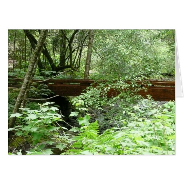 Muir Woods Bridge I Card (Front Horizontal)