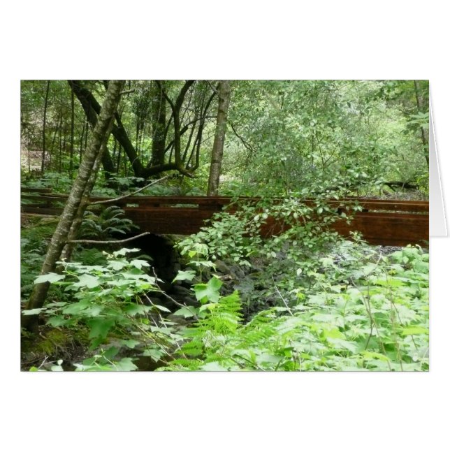 Muir Woods Bridge I Cards (Front Horizontal)