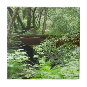 Muir Woods Bridge I Ceramic Tile