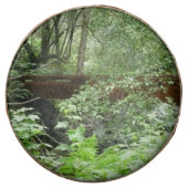 Muir Woods Bridge I Chocolate Covered Oreo (Front)