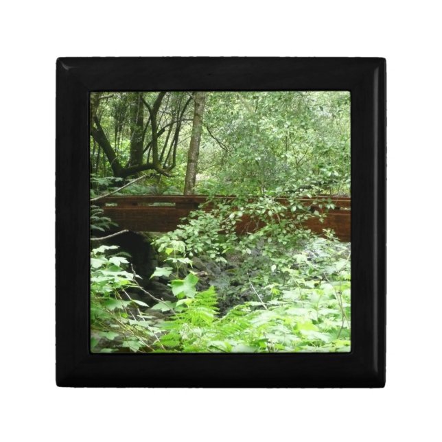Muir Woods Bridge I Keepsake Box (Front)