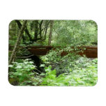 Muir Woods Bridge I Magnet