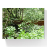 Muir Woods Bridge I Paperweight