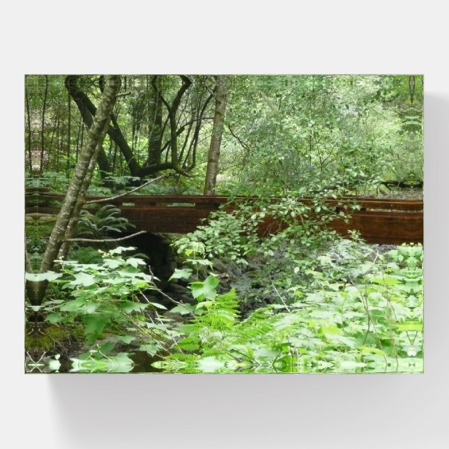 Muir Woods Bridge I Paperweight (Front)