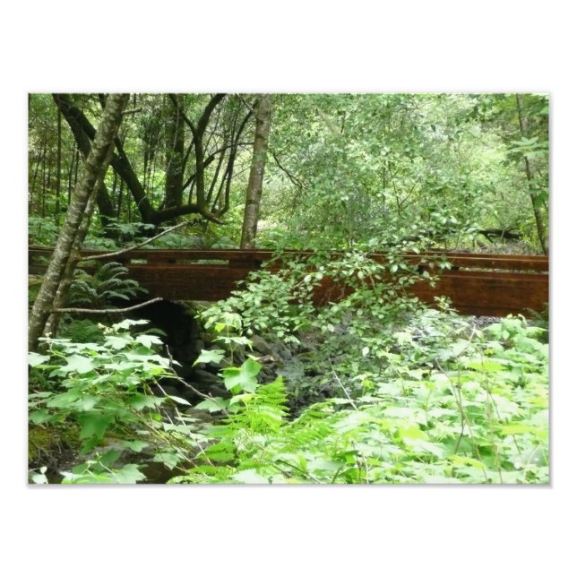 Muir Woods Bridge I Photo Print (Front)