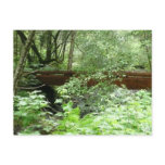 Muir Woods Bridge I Postcard
