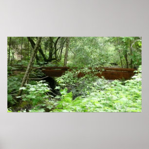 Muir Woods Bridge I Poster