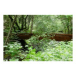 Muir Woods Bridge I Poster