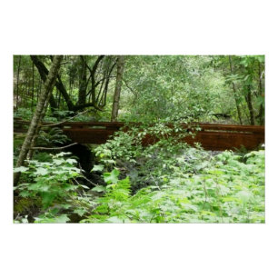 Muir Woods Bridge I Poster