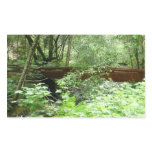 Muir Woods Bridge I Rectangular Sticker
