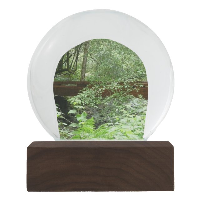 Muir Woods Bridge I Snow Globe (Front)