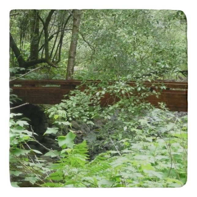 Muir Woods Bridge I Trivet (Front)