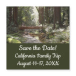 Muir Woods Bridge II