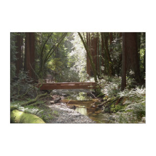 Muir Woods Bridge II Acrylic Print