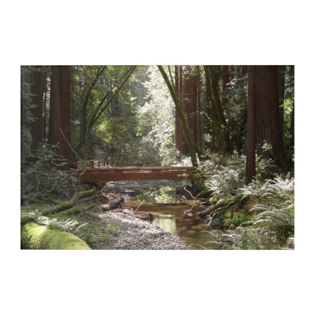 Muir Woods Bridge II Acrylic Print (Front)