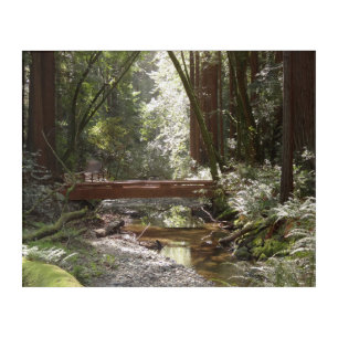 Muir Woods Bridge II Acrylic Print