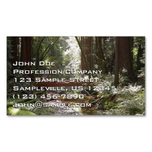 Muir Woods Bridge II Business Card Magnet