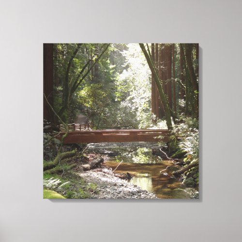 Muir Woods Bridge II Canvas Print