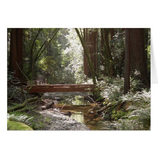 Muir Woods Bridge II Cards (Front Horizontal)