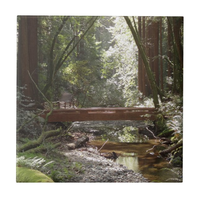 Muir Woods Bridge II Ceramic Tile (Front)