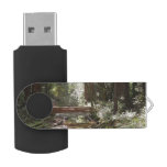 Muir Woods Bridge II Flash Drive