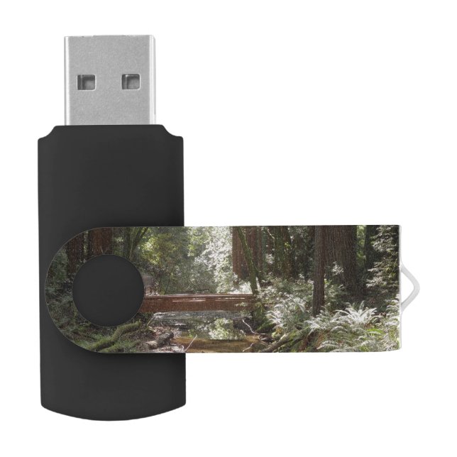 Muir Woods Bridge II Flash Drive (Opened)