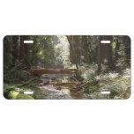 Muir Woods Bridge II License Plate