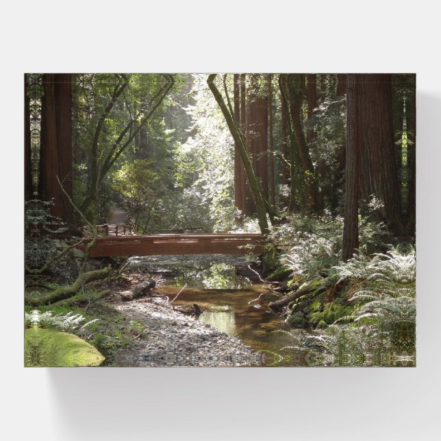 Muir Woods Bridge II Paperweight (Front)