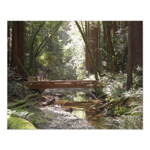 Muir Woods Bridge II Photo Print