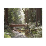 Muir Woods Bridge II Postcard