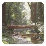 Muir Woods Bridge II Square Sticker