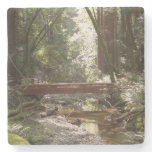 Muir Woods Bridge II Stone Coaster